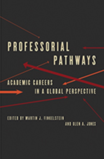 Professorial Pathways : Academic Careers in a Global Perspective, Hardback Book