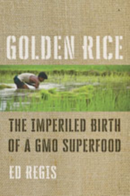 Golden Rice : The Imperiled Birth of a GMO Superfood, Hardback Book