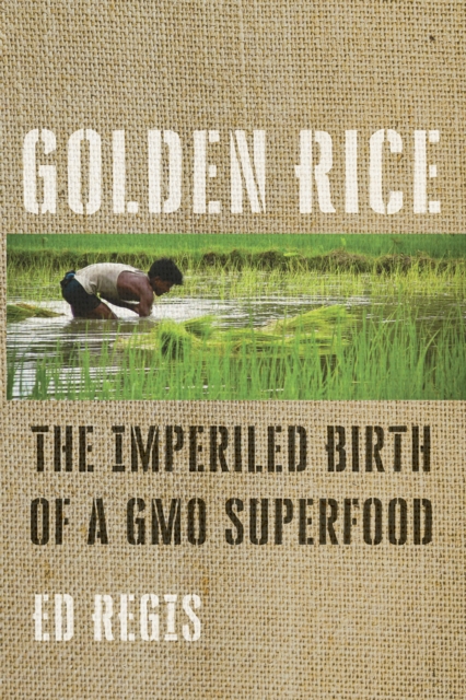 Golden Rice, EPUB eBook