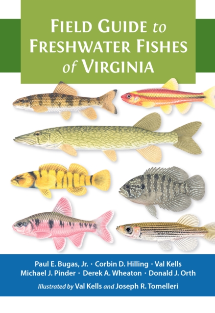 Field Guide to Freshwater Fishes of Virginia, EPUB eBook