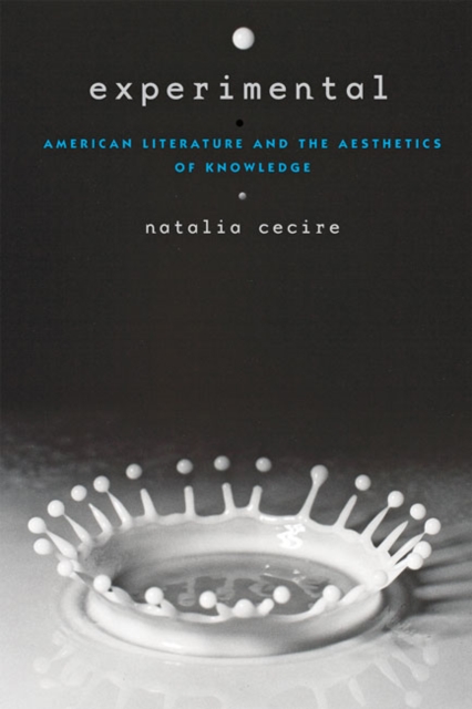 Experimental : American Literature and the Aesthetics of Knowledge, Hardback Book