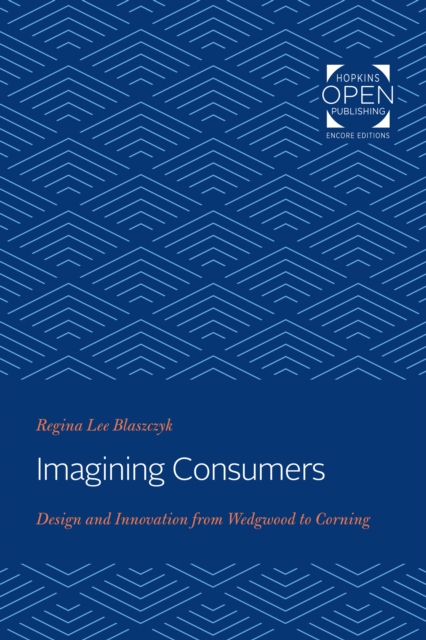 Imagining Consumers, EPUB eBook