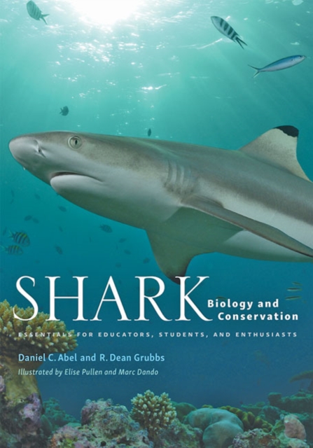 Shark Biology and Conservation : Essentials for Educators, Students, and Enthusiasts, Hardback Book