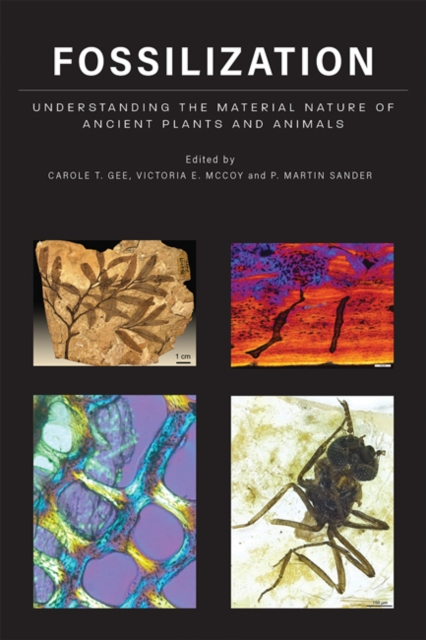 Fossilization : Understanding the Material Nature of Ancient Plants and Animals, Hardback Book