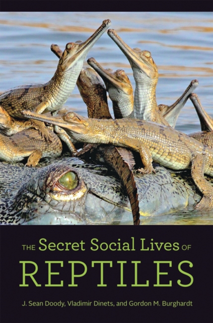 The Secret Social Lives of Reptiles, Hardback Book
