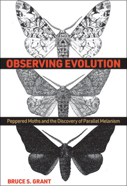 Observing Evolution : Peppered Moths and the Discovery of Parallel Melanism, Hardback Book
