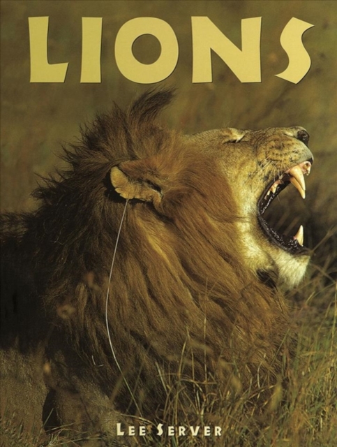 Lions, Hardback Book