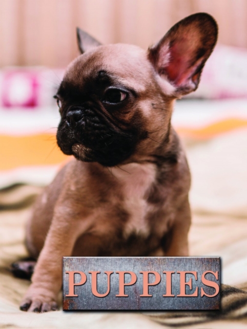Puppies, Hardback Book