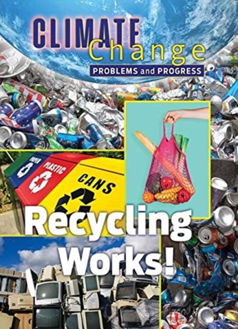 Recycling Works : Problems and Progress, Hardback Book