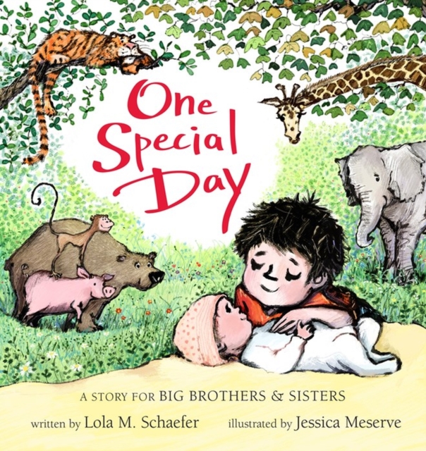 One Special Day : A Story for Big Brothers and Sisters, Hardback Book