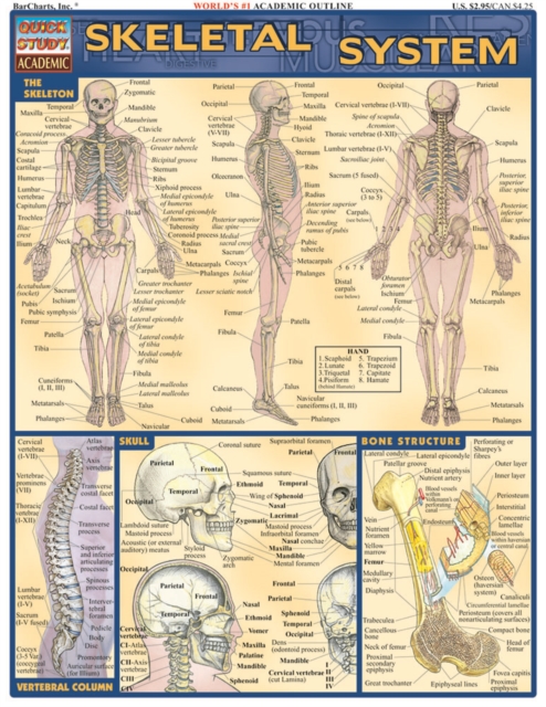 Skeletal System, PDF eBook