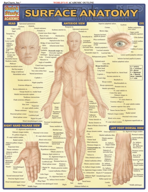 Surface Anatomy, PDF eBook