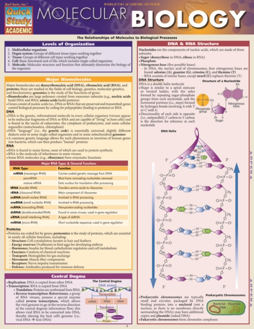 Molecular Biology, PDF eBook