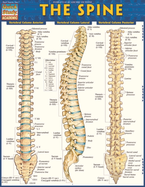 The Spine, PDF eBook