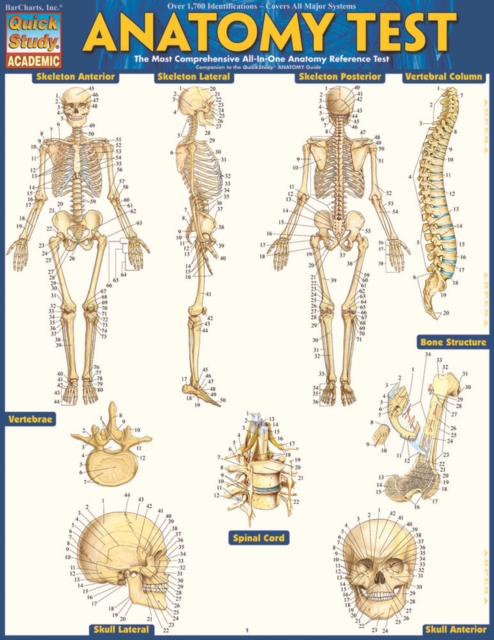 Anatomy Test Reference Guide (8.5 x 11) : for use with Anatomy Reference Guide (9781423222781), PDF eBook