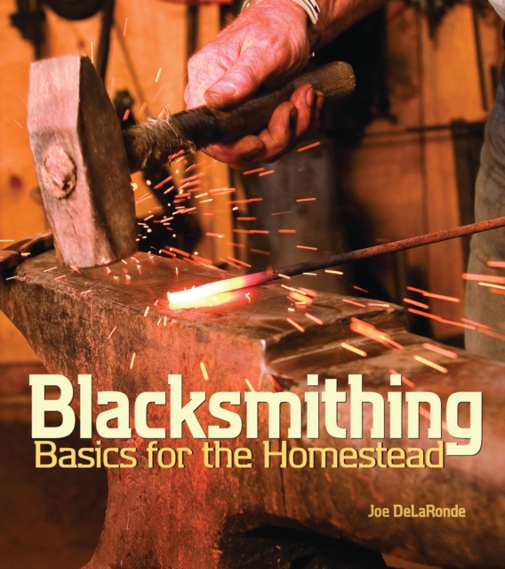 Blacksmithing Basics for the Homestead, EPUB eBook