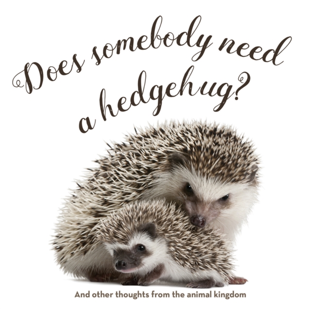 Does Somebody Need a Hedgehug? : And Other Thoughts From the Animal Kingdom, EPUB eBook