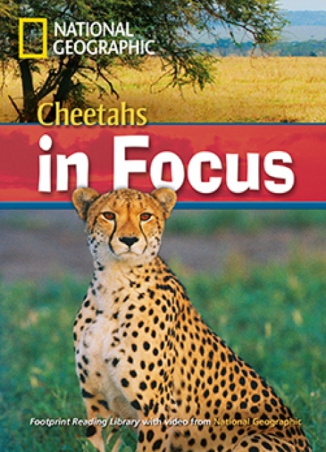 Cheetahs in Focus : Footprint Reading Library 2200, Paperback / softback Book