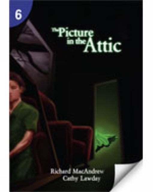 The Picture in the Attic: Page Turners 6, Paperback / softback Book
