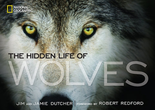 The Hidden Life of Wolves, Hardback Book