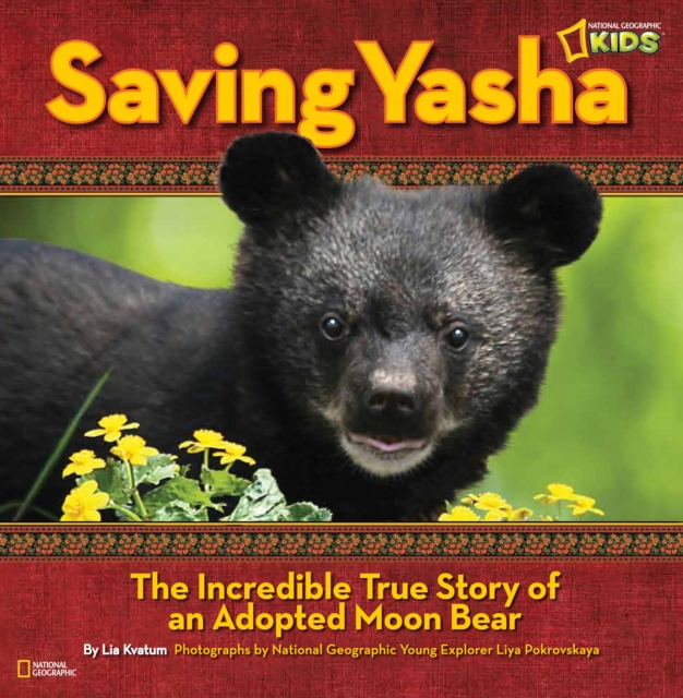 Saving Yasha : The Incredible True Story of an Adopted Moon Bear, Hardback Book