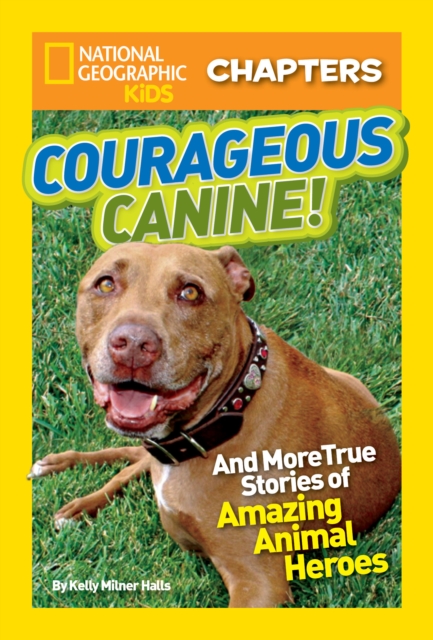 National Geographic Kids Chapters: Courageous Canine : And More True Stories of Amazing Animal Heroes, Paperback / softback Book