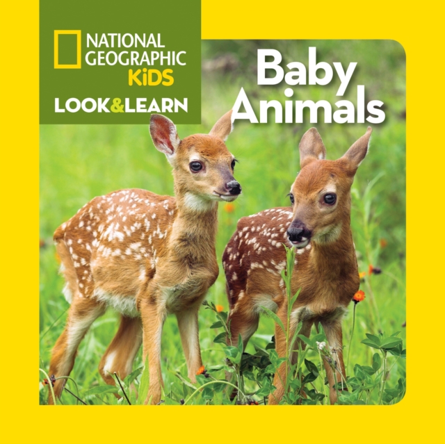 Look and Learn: Baby Animals, Board book Book