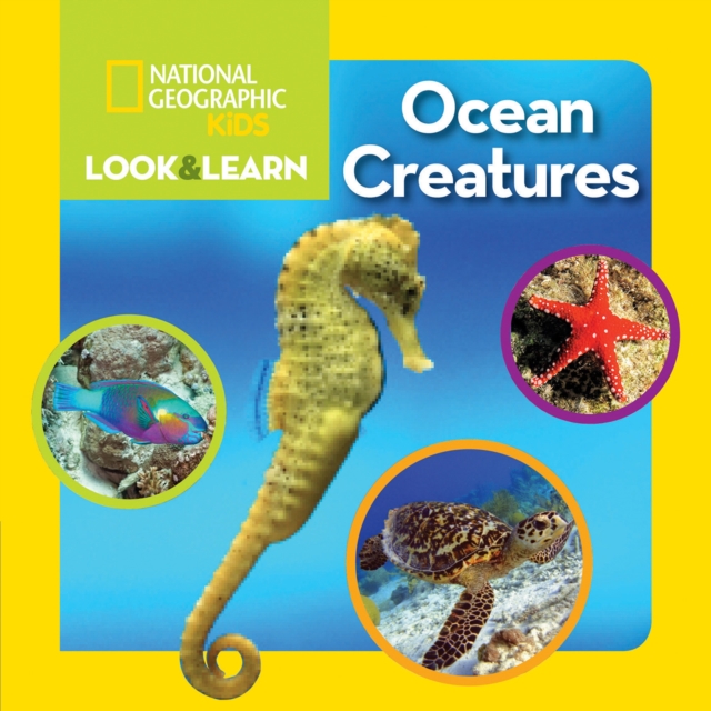 Look and Learn: Ocean Creatures, Board book Book