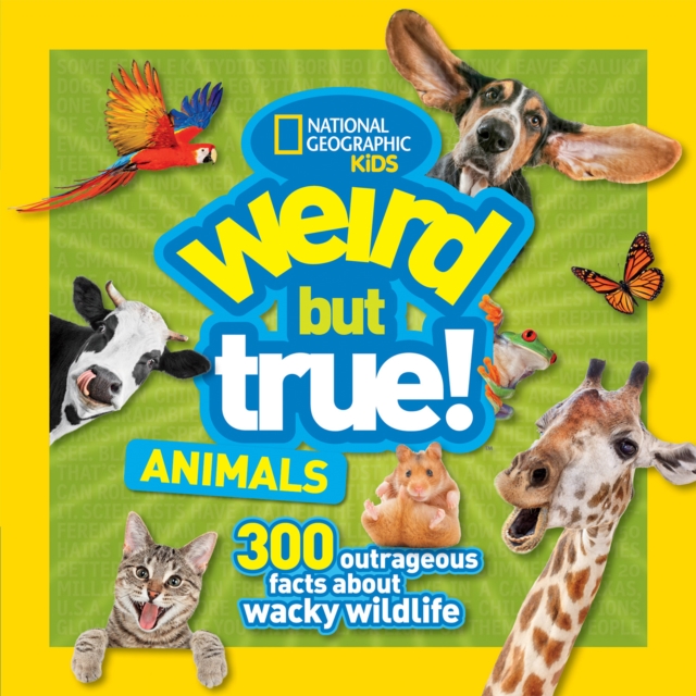 Weird But True Animals, Paperback / softback Book