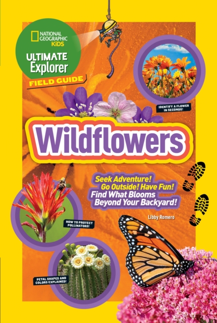 Ultimate Explorer Field Guide: Wildflowers, Paperback / softback Book
