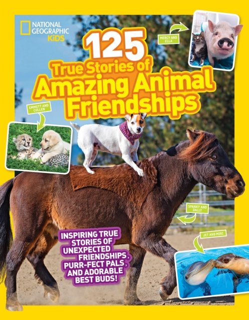 125 Animal Friendships, Paperback / softback Book