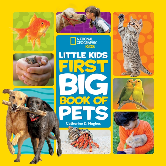 Little Kids First Big Book of Pets, Hardback Book