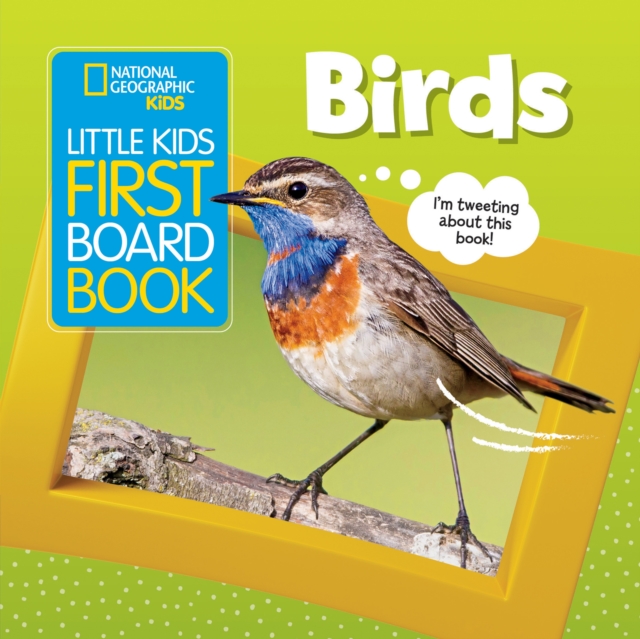 Little Kids First Board Book: Birds, Board book Book