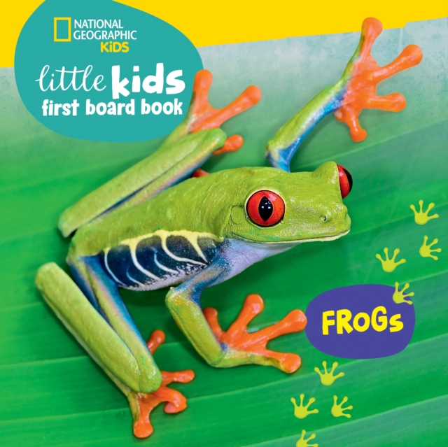 Little Kids First Board Book: Frogs, Board book Book