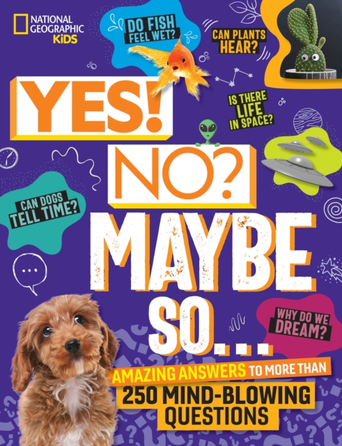 Yes! No? Maybe So... : Amazing Answers to More Than 250 Mind-Blowing Questions, Hardback Book