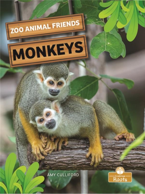 Monkeys, Paperback / softback Book