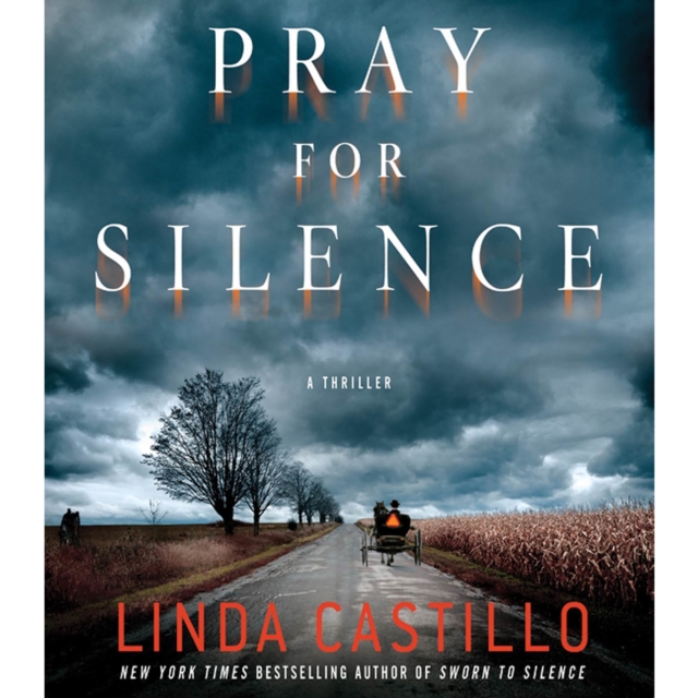 Pray for Silence : A Kate Burkholder Novel, eAudiobook MP3 eaudioBook