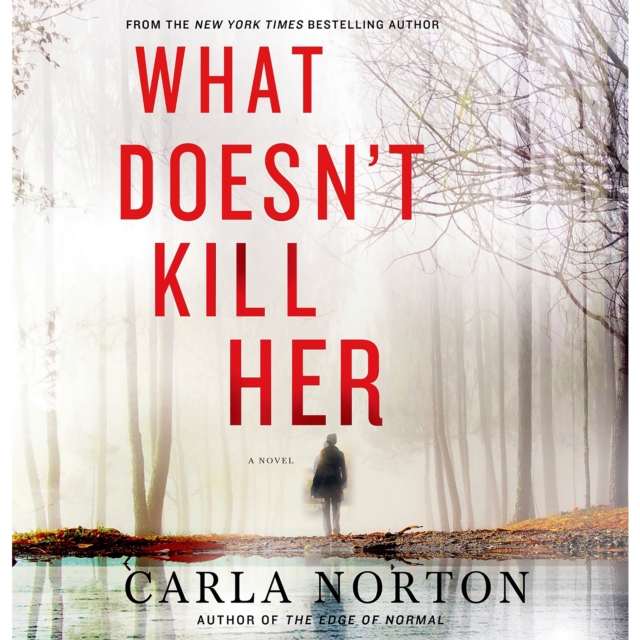 What Doesn't Kill Her : A Novel, eAudiobook MP3 eaudioBook