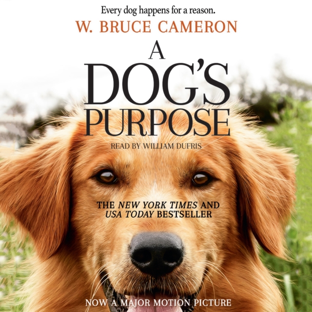 A Dog's Purpose : A Novel for Humans, eAudiobook MP3 eaudioBook