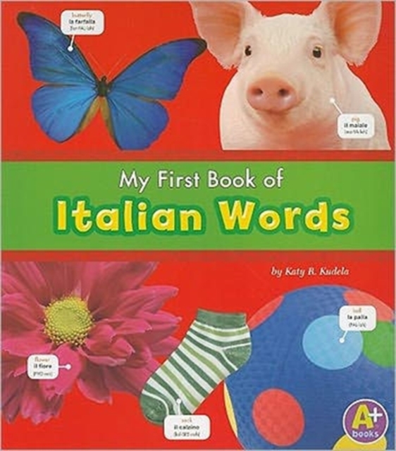 MyFirst Book of Italian Words, Paperback Book