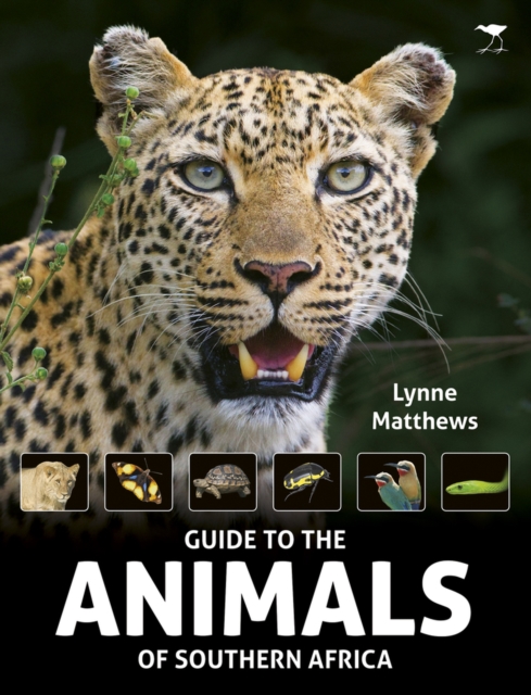 The Guide to the animals of Southern Africa, Paperback / softback Book