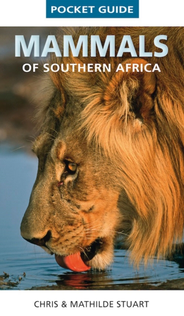 Pocket Guide Mammals of Southern Africa, PDF eBook