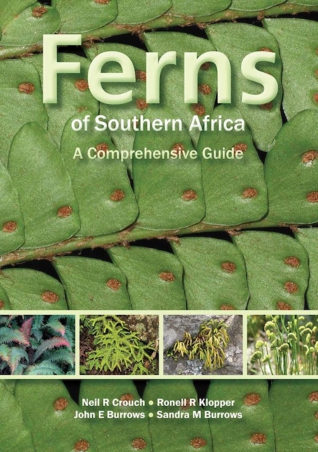 Ferns of Southern Africa: A Comprehensive Guide (PVC) : A Comprehensive Guide, PDF eBook