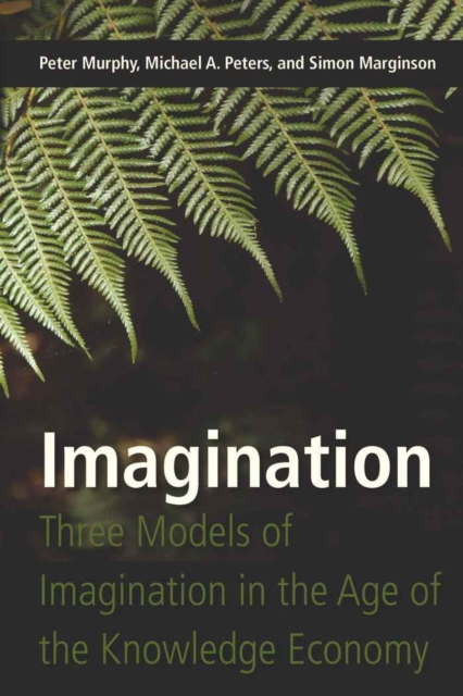 Imagination : Three Models of Imagination in the Age of the Knowledge Economy, Paperback / softback Book