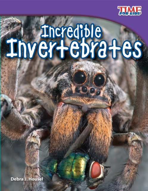 Incredible Invertebrates, Paperback / softback Book