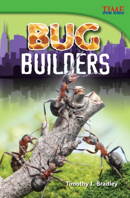 Bug Builders, Paperback / softback Book