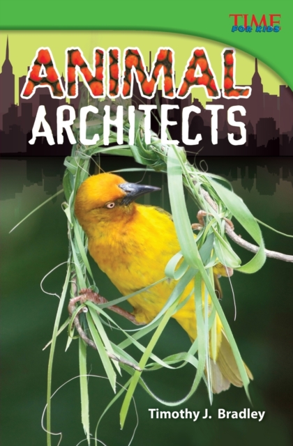 Animal Architects, Paperback / softback Book