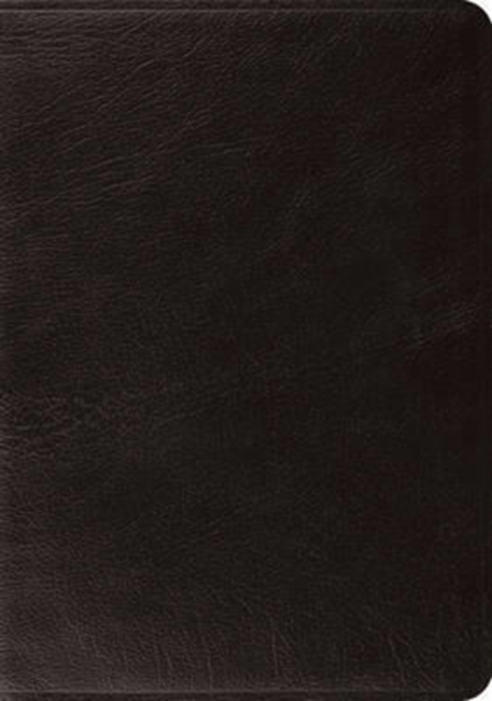 ESV Systematic Theology Study Bible, Leather / fine binding Book