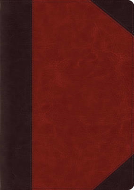 ESV Study Bible, Large Print (TruTone, Brown/Cordovan, Portfolio Design), Paperback / softback Book