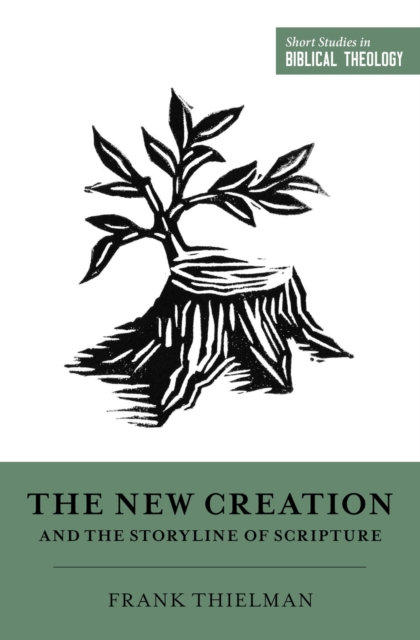 The New Creation and the Storyline of Scripture, EPUB eBook